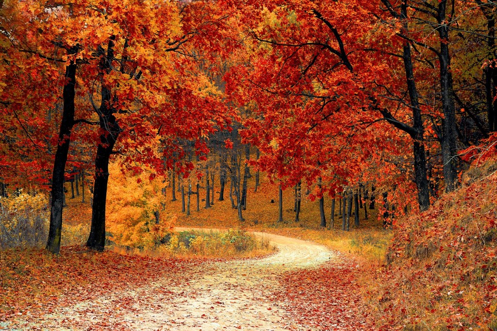 Preparing for the Change in Seasons and the Next Quarter