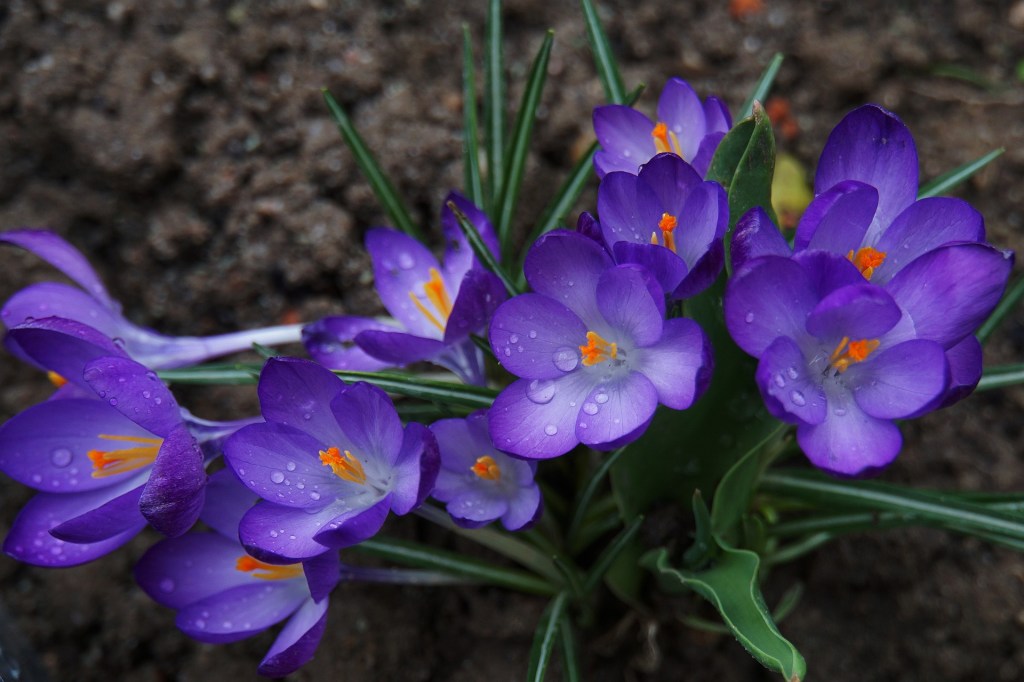 Setting Goals, Welcoming&nbsp;Spring
