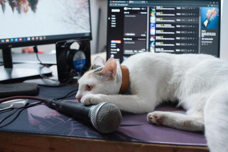 When do you feel most&nbsp;productive?