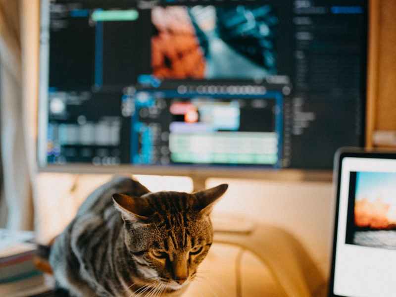 What Would You Do With an Unlimited Budget for 24&nbsp;Hours?