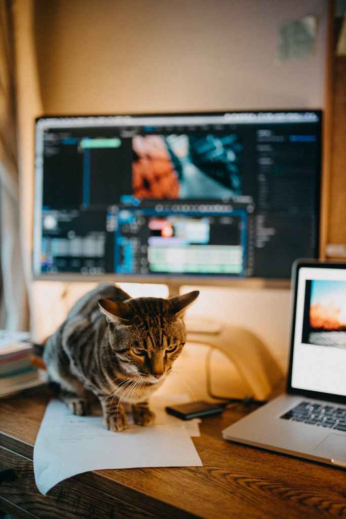 What Would You Do With an Unlimited Budget for 24&nbsp;Hours?